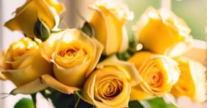 Żółte róże znaczenie: Słońce, radość i przyjaźń w kwiatach