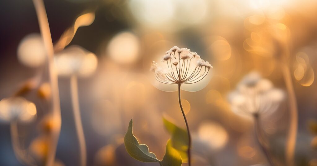 Sennik ciąża własna: co oznacza sen o ciąży?